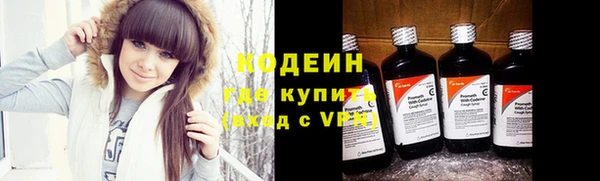 прущий лед Вяземский