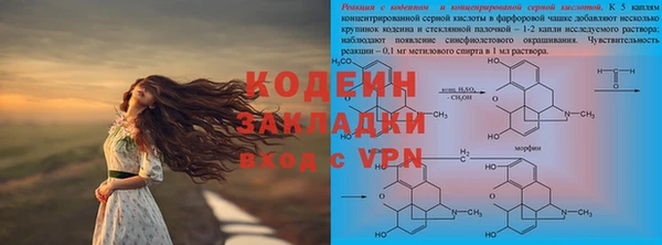 прущий лед Вяземский