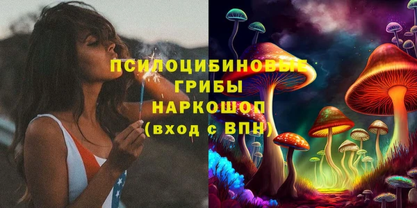 мдпв Вязники