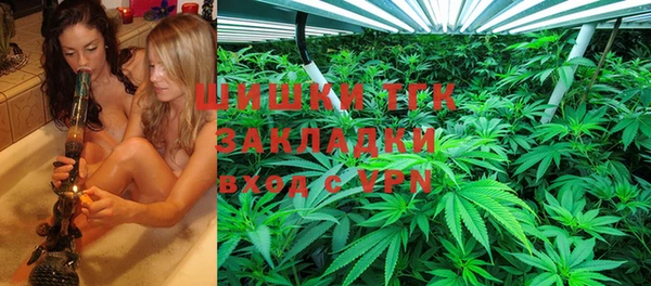 прущий лед Вяземский