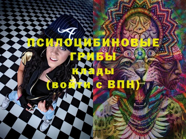 прущий лед Вяземский