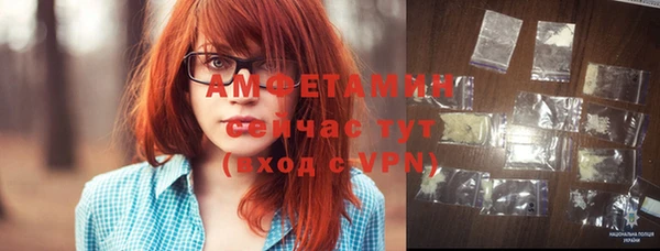 прущий лед Вяземский