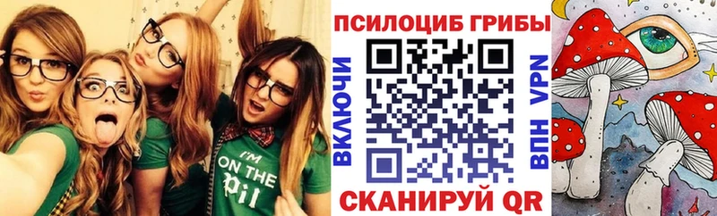 наркотики  Горбатов  Псилоцибиновые грибы мухоморы 